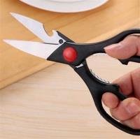 Scissors CP004310