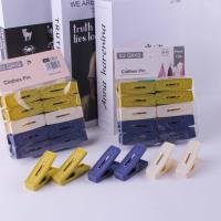 Household Item CP003942