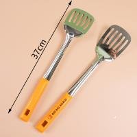 Spoon CP003315