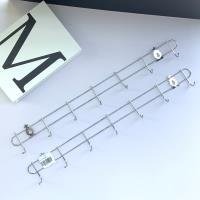Ruler CP003460