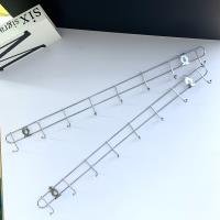 Ruler CP003462