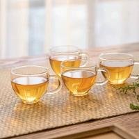 Glass Cup CP00533028