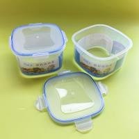 Food Container CP003751