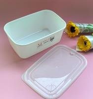Food Container CP004029