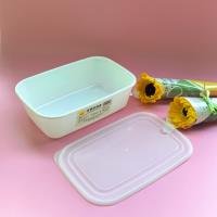 Food Container CP004030