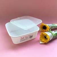 Food Container CP004032