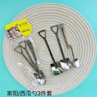 Spoon CP003685