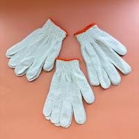 Gloves CP0041532