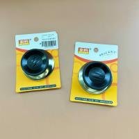 Pot CP004660