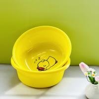 Basin CP001988