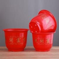 Basin CP001981