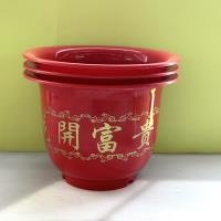 Basin CP001980