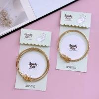 Bangle CP004733