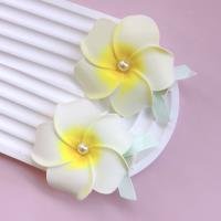 Hair Clip CP60514150