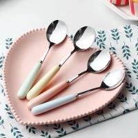 Spoon CP005243