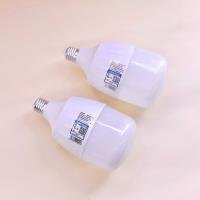 Light Bulb CP605146234