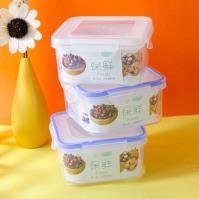Food Container CP60514716160