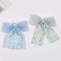 Hair Clip CP60514716530