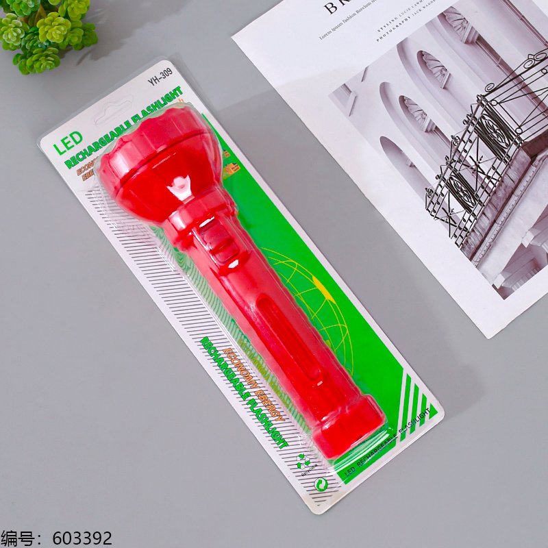 Flashlight 309 [603392]