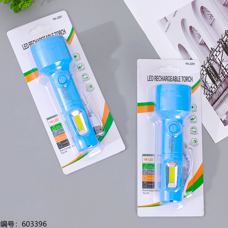 Flashlight 2201 [603396]